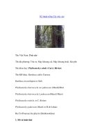 Nghiên cứu khoa học 