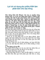 Lợi ích sử dụng phụ phẩm KSH làm phân bón cho cây trồng ppt