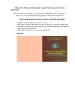 Mẫu Chứng chỉ hành nghề xông hơi khử trùng vật thể xuất nhập khẩu ppt