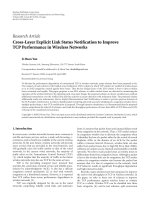 Báo cáo hóa học: 