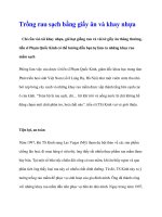 Trồng rau sạch bằng giấy ăn và khay nhựa ppt