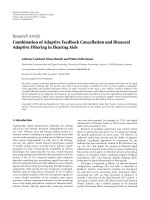 Báo cáo hóa học: 