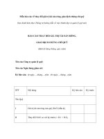 Mẫu báo cáo về thay đổi giá trị tài sản ròng, giao dịch chứng chỉ quỹ docx