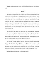 Đề bài: Tưởng tượng và kể lại câu chuyện cổ tích Sọ Dừa theo một kết thúc mới. potx