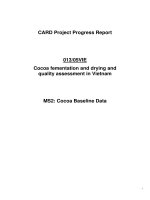 Card Project Progress Report: 