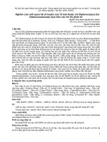 Nghiên cứu khoa học 