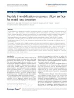 Báo cáo hóa học: 