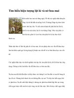 Tìm hiểu hiện tượng lặt lá và nở hoa mai doc