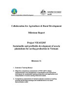 Collaboration for Agriculture & Rural Development:Sustainable and profitable development of acacia plantations for sawlog production in Vietnam - Milestone 12 