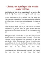Cần lưu ý tới hệ thống kế toán ở doanh nghiệp Việt Nam doc
