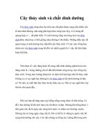 Cây thủy sinh và chất dinh dưỡng pptx