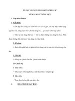 ÔN TẬP VÀ THỰC HÀNH MỘT SỐ BÀI TẬP NÂNG CAO VỀ TIẾNG VIỆT potx