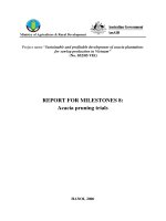 Sustainable and profitable development of acacia plantations for sawlog production in Vietnam - Milestone 8 