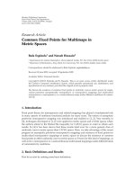 Báo cáo hóa học: 