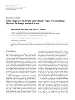 Báo cáo hóa học: 