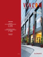 báo cáo thường niên 2010 công ty cổ phần vincom khát vọng tiên phong