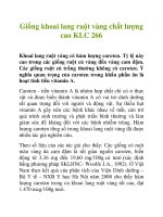 Giống khoai lang ruột vàng chất lượng cao KLC 266 ppt