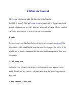 Chăm sóc bonsai pptx