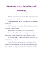 Hạ chân cây xương rồng ghép trên gốc thanh long pptx