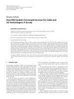 Báo cáo hóa học: 