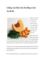 Chống Lão Hóa Cho Da Bằng Cách Ăn Bí Đỏ pptx