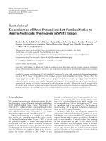 Báo cáo hóa học: 