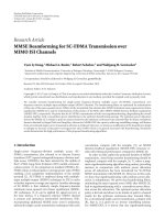 Báo cáo hóa học: 