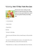Vị Là Lạ, Sinh Tố Đậu Nành Hoa Quả pptx
