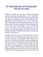 Kỹ thuật giúp hạn chế sử dụng phân bón cho cây trồng docx