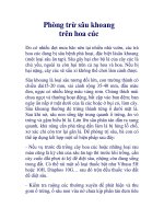 Phòng trừ sâu khoang trên hoa cúc pdf