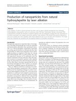 Boutinguiza et al. Nanoscale Research Letters 2011, 6:255 docx