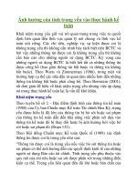 Ảnh hưởng của tính trọng yếu vào thực hành kế toán pptx