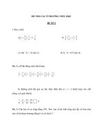 ĐỀ THI CÁC Ở TRƯỜNG TIỂU HỌC ĐỀ SỐ 2 1.Tìm x biết4 7 7 a)  x    pot