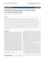 Báo cáo hóa học: 