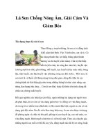 Lá Sen Chống Nóng Ẩm, Giải Cảm Và Giảm Béo pot