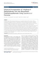 Saika et al. AMB Express 2011, 1:6 http://www.amb-express.com/content/1/1/6 ORIGINAL Open doc