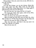 Phương pháp phòng chống ký sinh trùng part 5 ppt