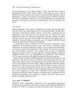 Strategic Information Management Third Edition Challenges and Strategies in Managing Information Systems_9 pot