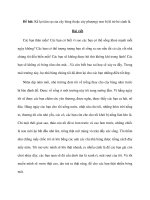 Đề bài: Kể lại tâm sự của cây bàng (hoặc cây phượng) non bị lũ trẻ bẻ cành lá pdf