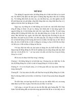 các loại anten cho đầu cuối thuê bao trong hệ thống thông tin vệ tinh