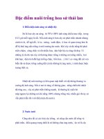 Đặc điểm nuôi trồng hoa sứ thái lan doc