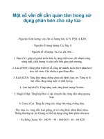 Một số vấn đề cần quan tâm trong sử dụng phân bón cho cây lúa pdf