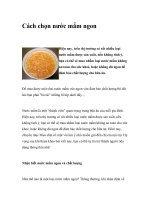 Cách chọn nước mắm ngon pdf