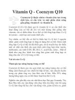 Vitamin Q - Coenzym Q10 potx