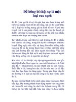 Để bông bí thật sự là một loại rau sạch pdf