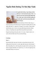 Nguồn Dinh Dưỡng Từ Sữa Đậu Nành potx