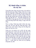 Kỹ thuật trồng và chăm sóc cây sưa pptx