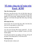 Tổ chức công tác kế toán trên Excel - KT03 potx