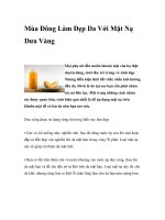 Mùa Đông Làm Đẹp Da Với Mặt Nạ Dưa Vàng pptx