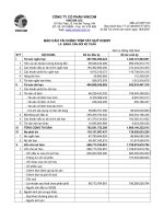 công ty cổ phần vincom báo cáo tài chính tóm tắt quý iii 2007